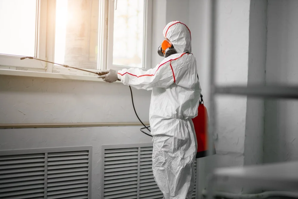 Professional mold remediation services in Comanche, TX